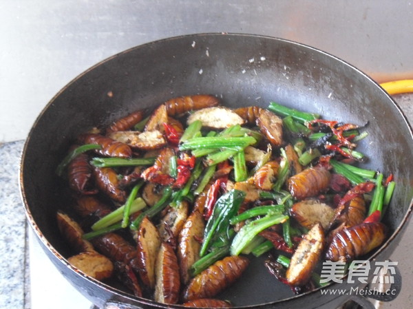 Dry Stir-fried Silkworm Pupa recipe