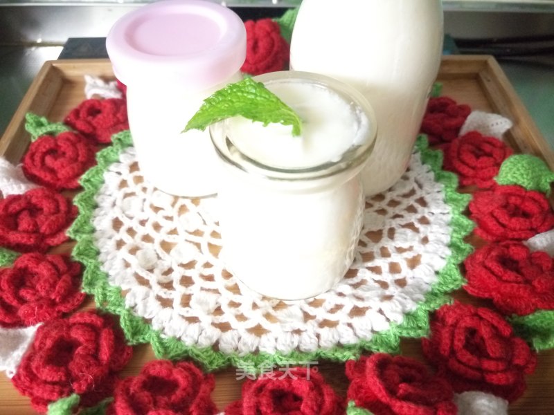 Homemade Old Yogurt (bread Machine Version) recipe