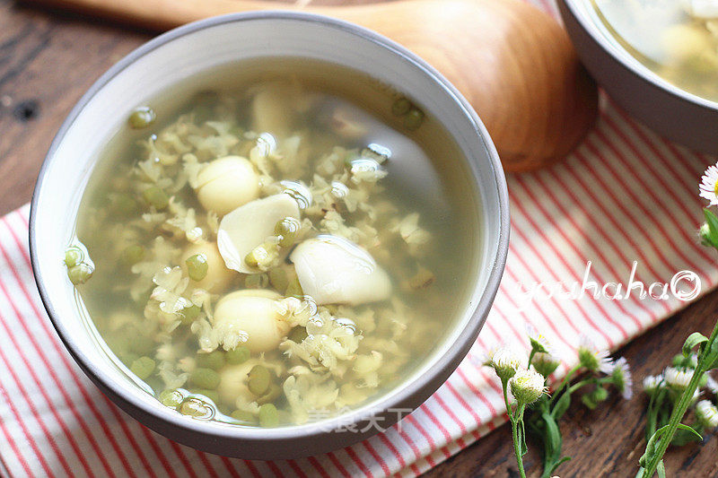 Mung Bean Lily Lotus Seed Soup recipe
