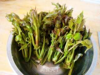Scrambled Eggs with Toon Sprouts recipe