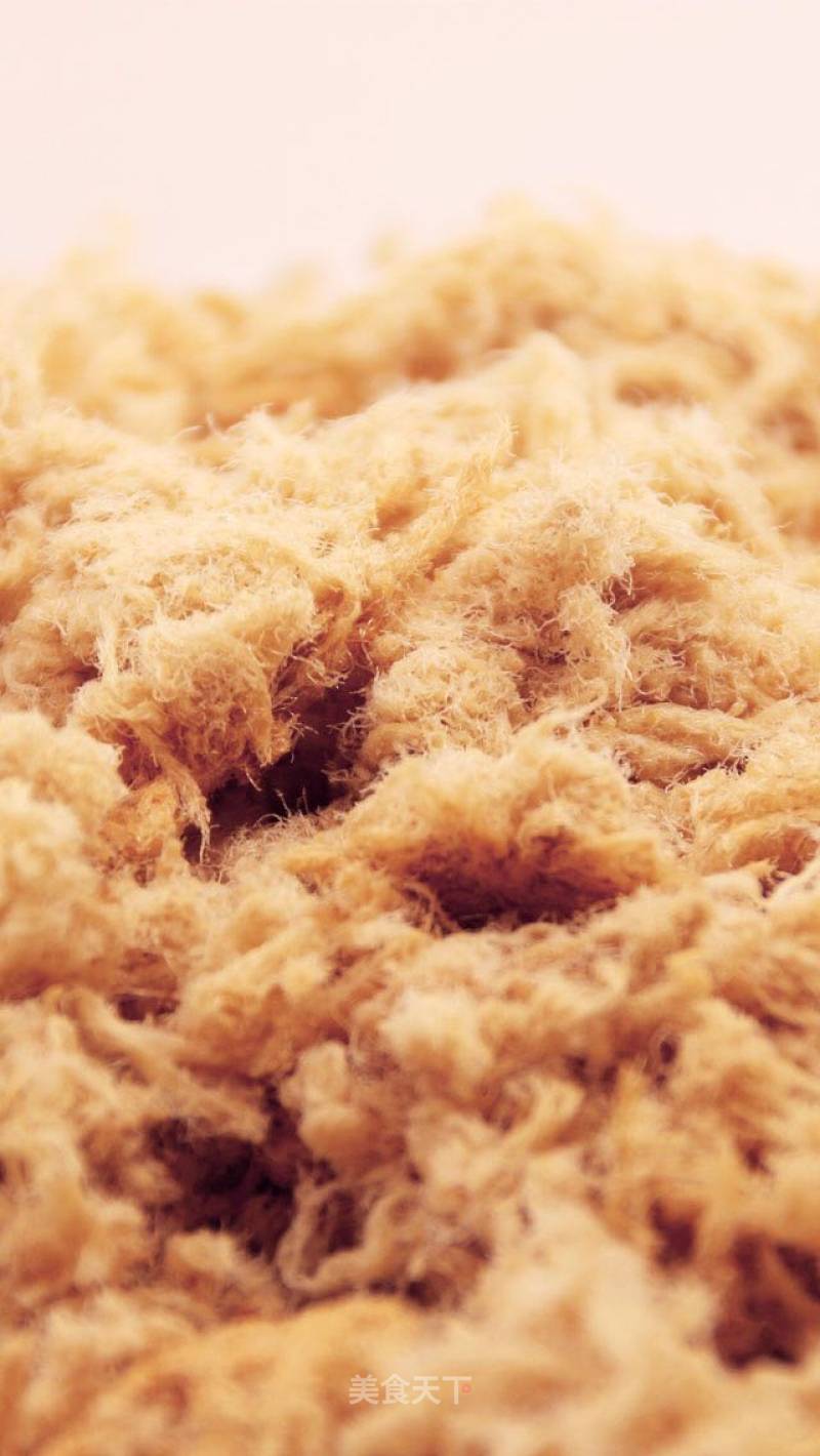Baby Food Supplement of Meat Floss recipe