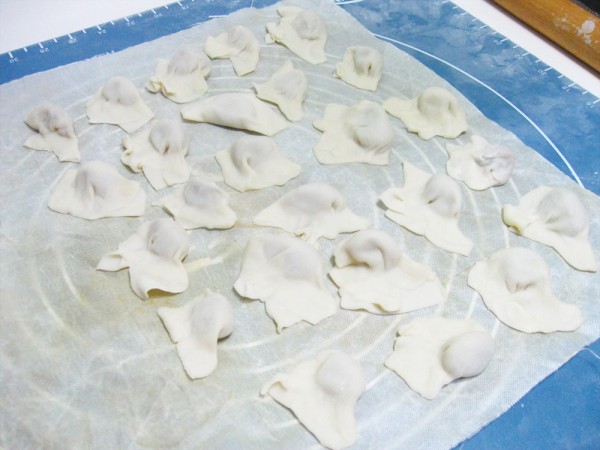 Pork Wonton recipe