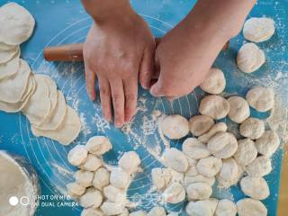 Tofu Dumplings and Melon Meat Dumplings recipe