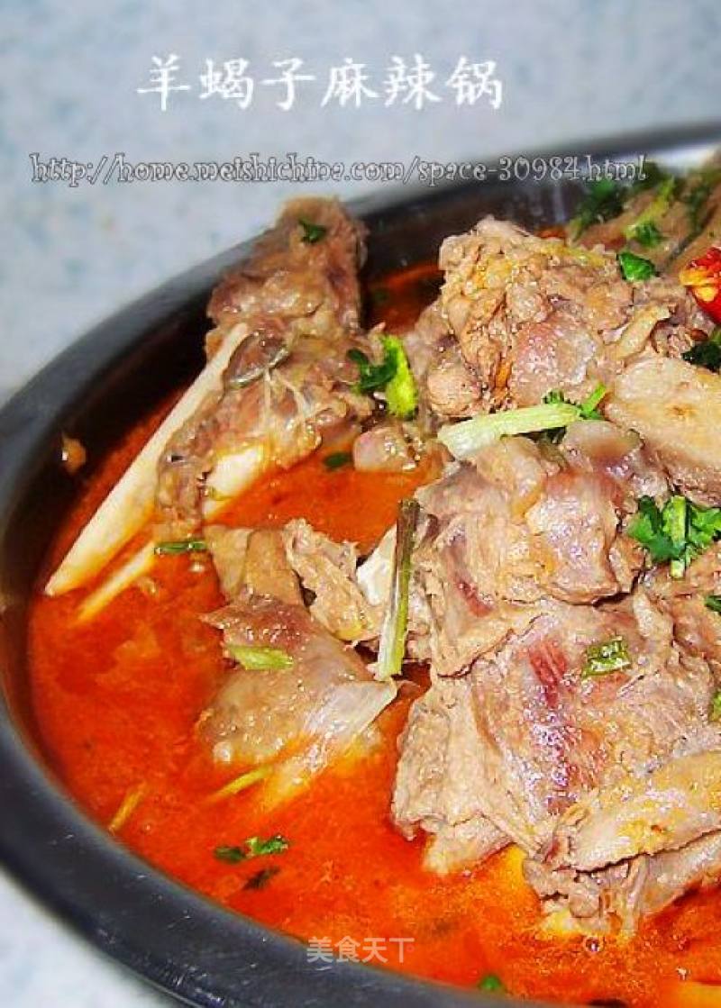 Sheep Scorpion Hot Pot recipe