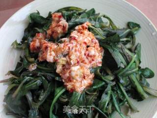 Dandelion in Cold Dressing-trial Report of Golden Dragon Fish Fragrant Sesame Oil recipe