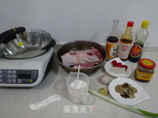 Sauce Beef Tendon recipe