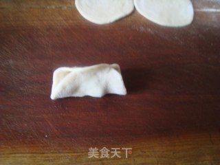 Fried Vegetarian Dumplings recipe