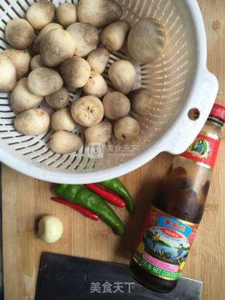 Straw Mushrooms in Oyster Sauce recipe