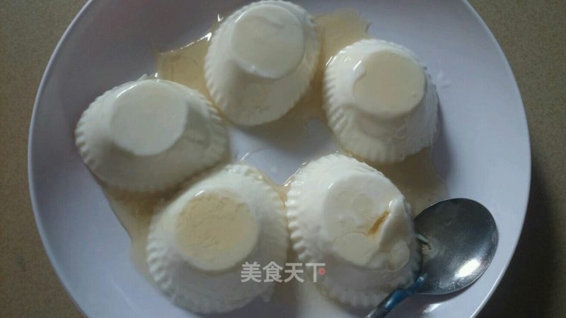 Yogurt and Honey Pudding recipe