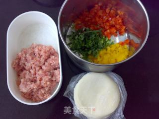 Color Pepper and Meat Dumplings recipe