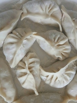 Chinese Cabbage, Carrot and Pork Dumplings recipe