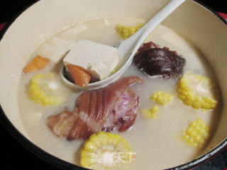 Salted Pork Knuckle Tofu and Corn Soup recipe