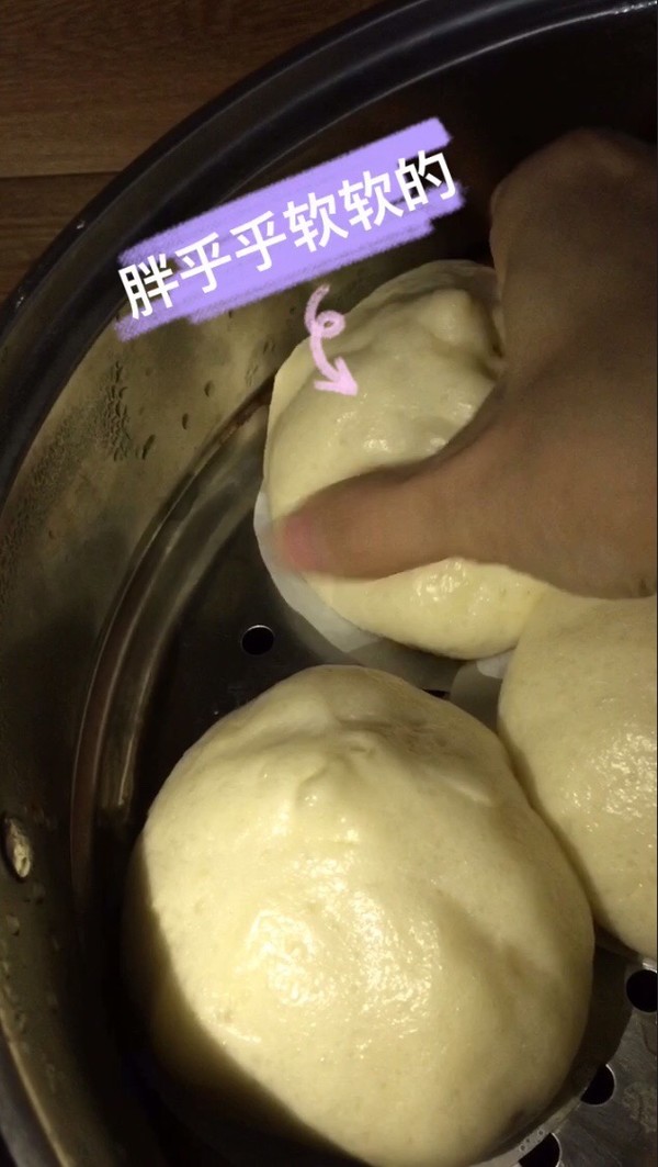 Chubby and Soft ~ ~ One-time Fermented Buns recipe