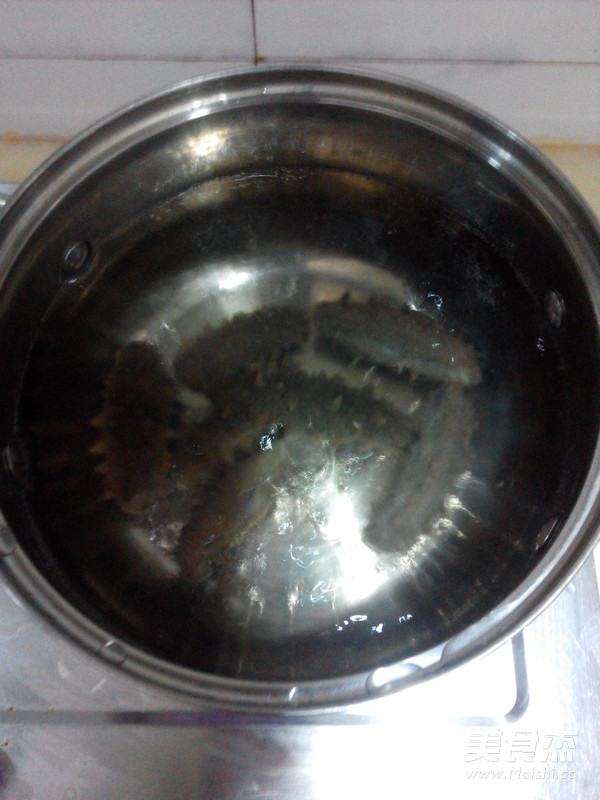 Sea Cucumber Bubble Hair recipe