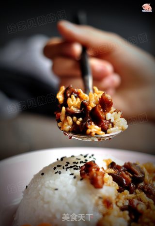 Braised Pork on Rice recipe