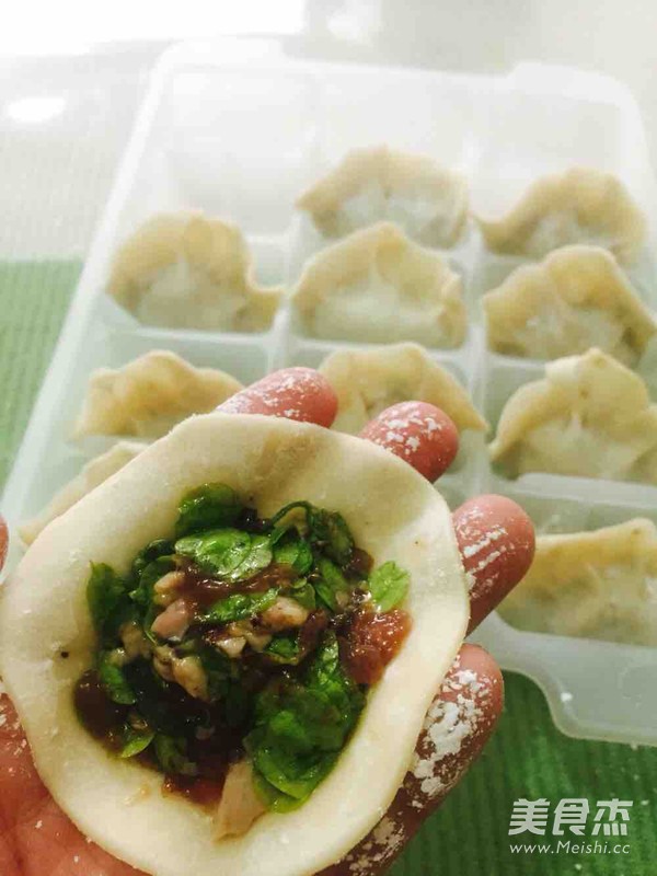 Elm Money Dumplings recipe