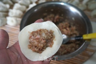 【beijing】beef and Onion Dumplings recipe