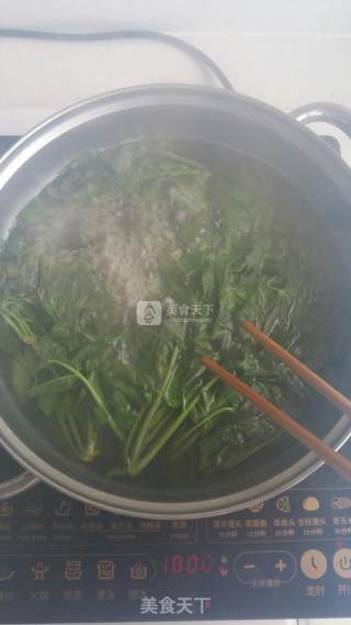 Scrambled Eggs with Toon Sprouts recipe
