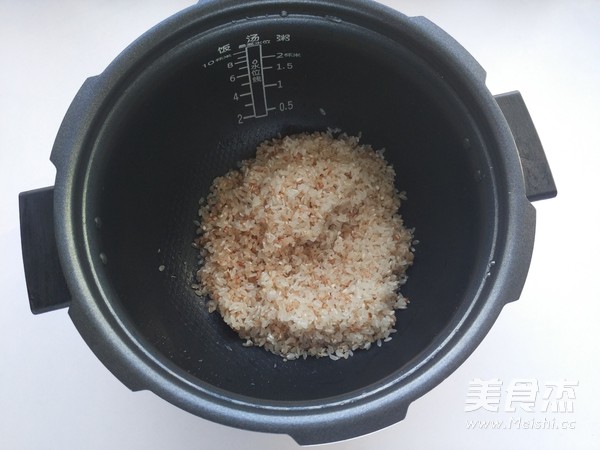 Double Rice Ball recipe