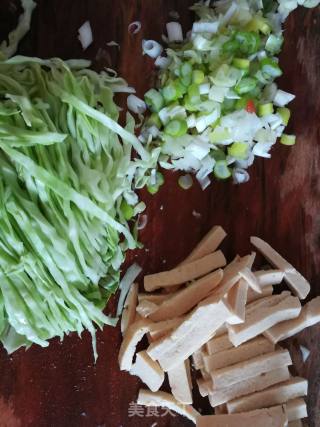 Fried Green Cabbage with Tofu recipe