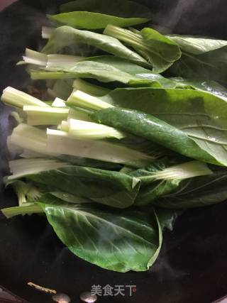 Oily Tofu and Roasted Rapeseed recipe