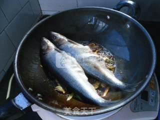 Grilled Sardines recipe