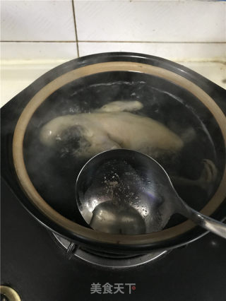 Polygonatum Suckling Pigeon Soup recipe