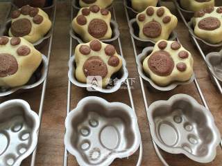 Cute Cat's Claw Millet Steamed Buns recipe