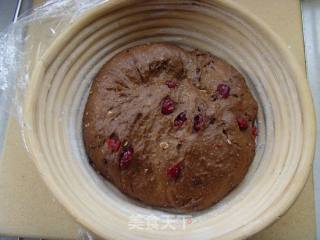 The Simple Appearance is Stunning---cocoa Cranberry Rye Bread recipe