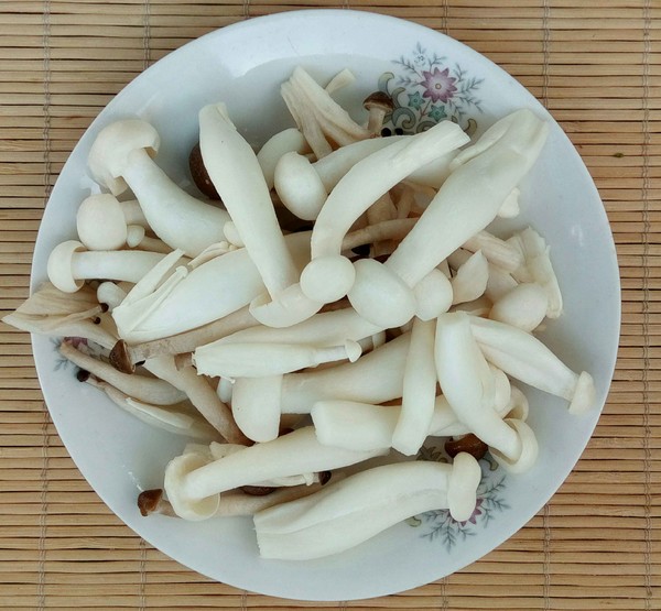 Braised Winter Bamboo Shoots and Mushrooms in Chicken Broth recipe