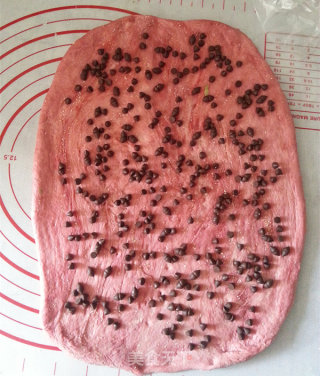 The Coolness from The Bread Machine-watermelon Bread recipe