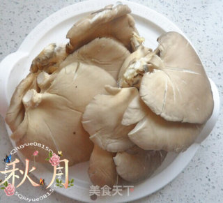 Pleurotus Ostreatus recipe