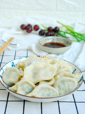 Beef Cilantro Dumplings recipe