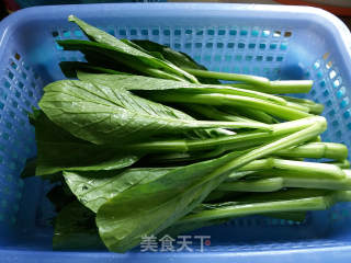 Garlic Choy Sum in Oyster Sauce recipe