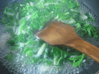 Sakura Jade Tofu and Cabbage Dumplings recipe