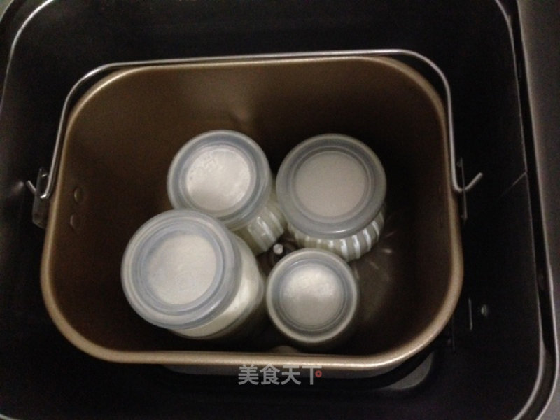 Homemade Old Yogurt recipe