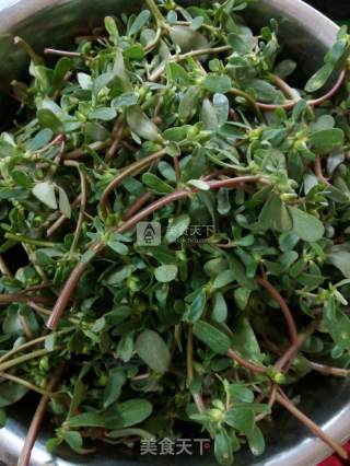 Portulaca Oleracea recipe