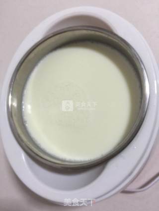 Yogurt Made from Raw Milk recipe