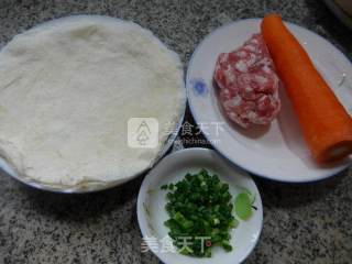 Carrot Minced Meat Spring Rolls recipe