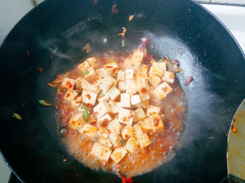 Sichuan Mapo Tofu recipe