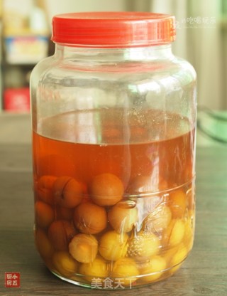 Plum Wine: "zhu Se Liquor" from Ancient Recipes recipe