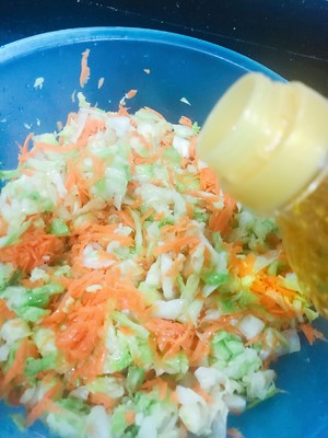 Carrots, Cabbage and Vegetable Buns (one-time Fermentation, with Video) recipe