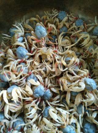 Sand Crab Sauce recipe