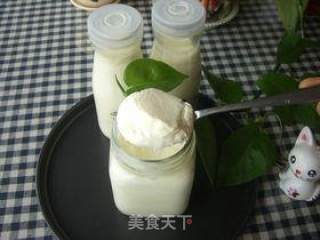 Sunny Yogurt recipe