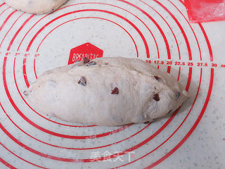 Rich and Rich Taste~【whole Wheat Cranberry Cheese Soft European】 recipe