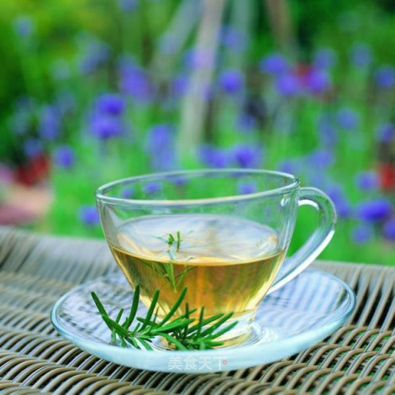 Pine Needle Tea recipe