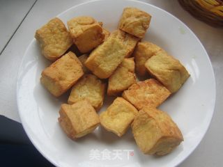 New Pregnant Tofu recipe