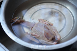 Matsutake Pigeon Soup recipe