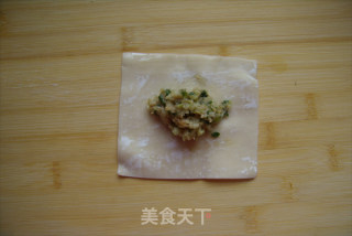 Homemade "wonton" recipe