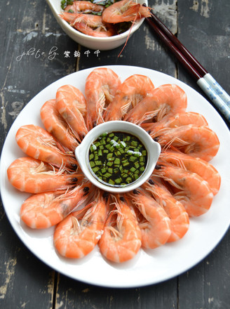 Brine Shrimp recipe